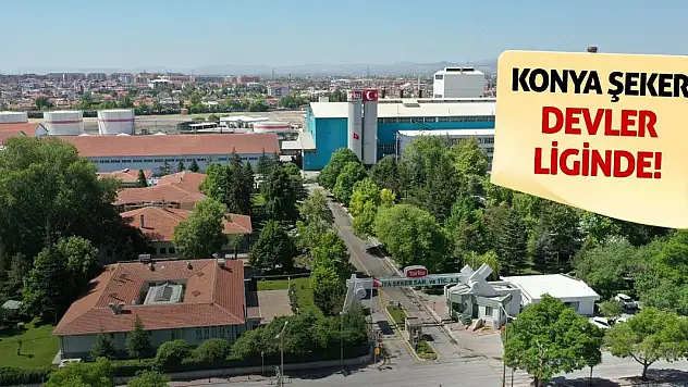 Konya Şeker Devler Liginde!