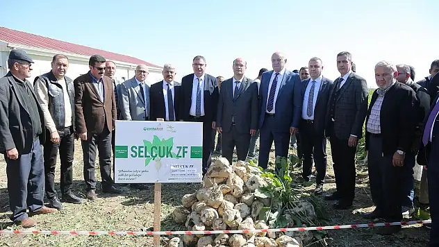 Konya Şeker ve SÜ'nden Tarihi Hamle: Yerli Şeker Pancarı Tohumu Geliştirildi!