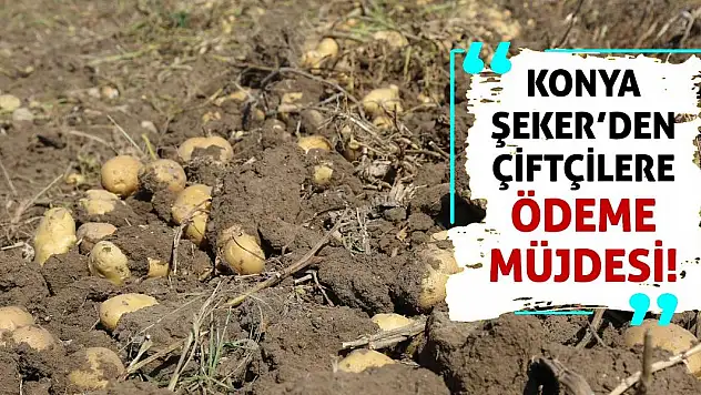 Konya Şeker'den çiftçilere ödeme müjdesi!