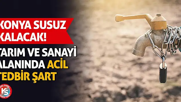 Konya susuz kalacak! Tarım ve sanayi alanında acil tedbir şart
