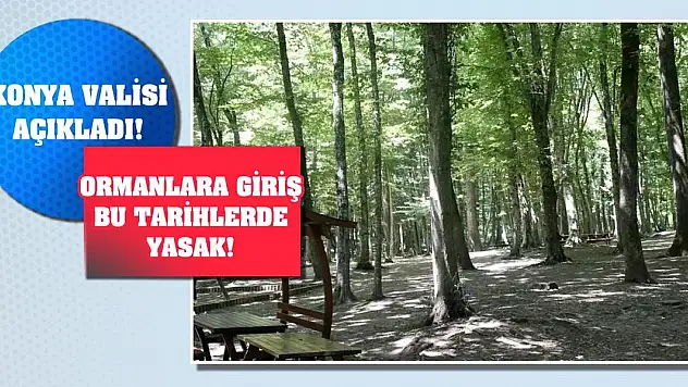 Konya Valisi Açıkladı! Ormanlara Giriş Bu Tarihlerde Yasak!