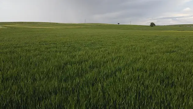 Konya'ya bereket geldi