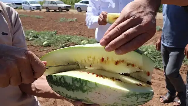 Konya'ya bir tescil daha mı geliyor?