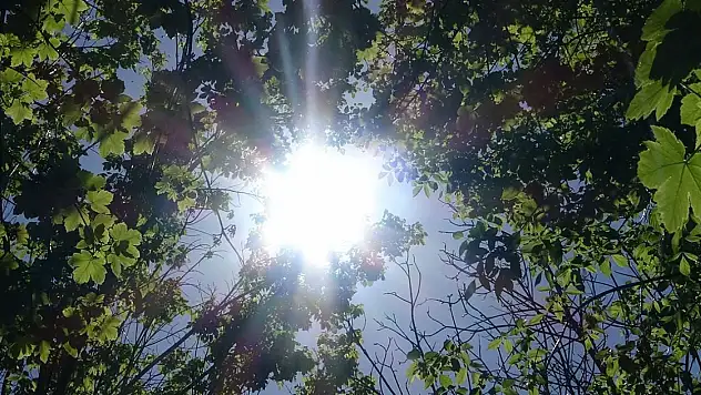 Konya'ya kısa süreli bahar geliyor! 12 dereceye kadar çıkacak