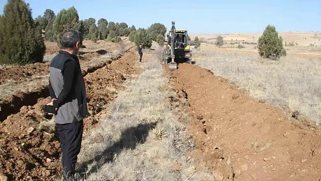Konya'da 11 bin orman fidanı daha toprakla buluşturulacak