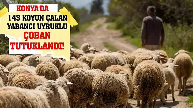 Konya'da 143 koyun çalan yabancı uyruklu çoban tutuklandı