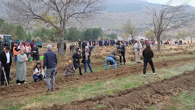 Konya'da 1500 fidan toprakla buluştu