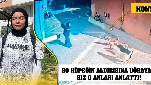 Konya'da 20 köpeğin saldırısına uğrayan kız o anları anlattı!