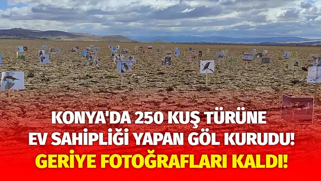Konya'da 250 Kuş Türüne Ev Sahipliği Yapan Göl Kurudu! Geriye Fotoğrafları Kaldı!