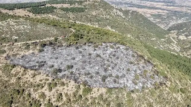 Konya'da 40 Dönüm Alan Zarar Gördü!