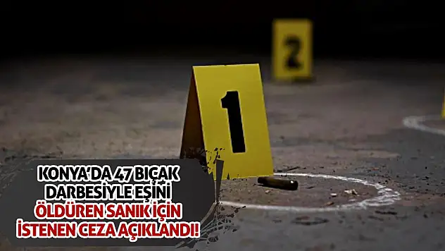Konya'da 47 bıçak darbesiyle eşini öldüren sanık için istenen ceza açıklandı!