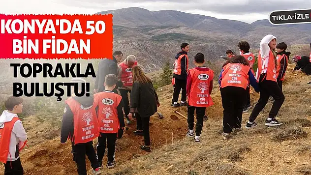 Konya'da 50 bin fidan toprakla buluştu!