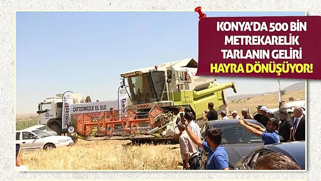 Konya'da 500 Bin Metrekarelik Tarlanın Geliri Hayra Dönüşüyor!