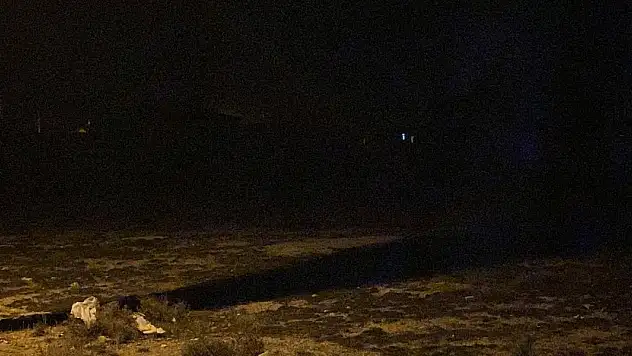 Konya'da acı ölüm! 2 yaşındaki Rana köpek saldırısı sonrası hayatını kaybetti