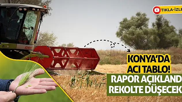Konya'da Acı Tablo! Rapor Açıklandı! Rekolte Düşecek...
