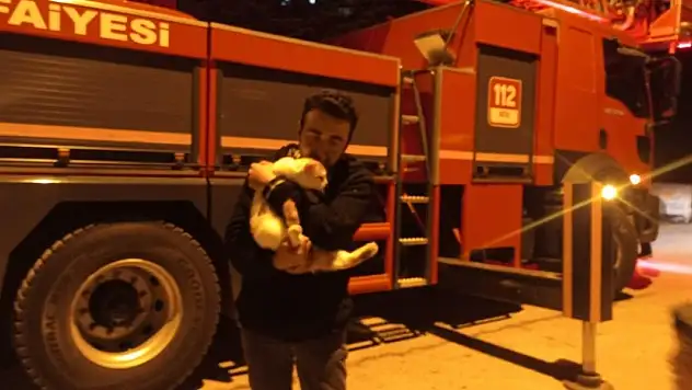Konya'da ağaçta mahsur kalan kediyi itfaiye ekibi kurtardı