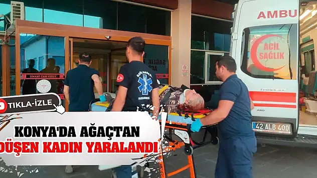 Konya'da ağaçtan düşen kadın yaralandı