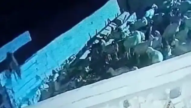 Konya'da ağıla giren kurt koyunu telef etti!