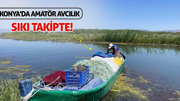 Konya'da amatör avcılık sıkı takipte!