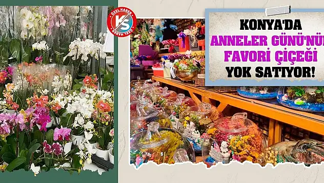 Konya'da Anneler Günü'nün favori çiçeği yok satıyor!