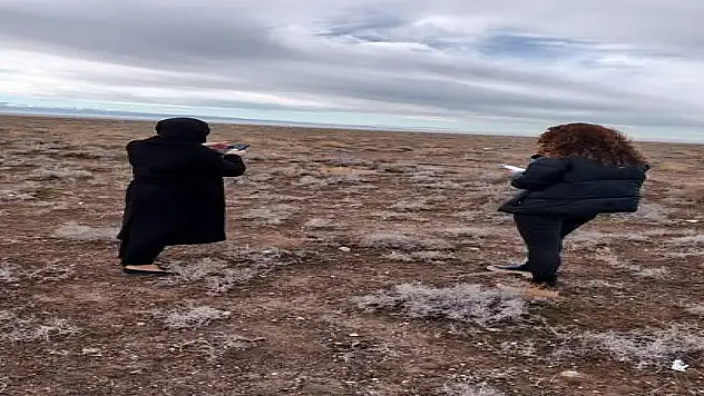 Konya'da arı konaklama yerleri belirlendi