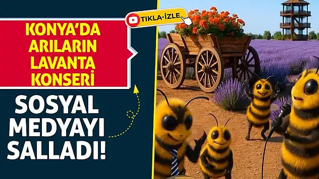 Konya'da Arıların Lavanta Konseri Sosyal Medyayı Salladı!
