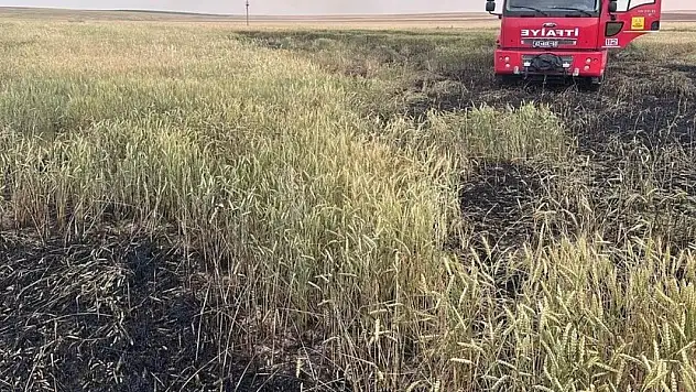 Konya'da arpa ekili tarlada yangın çıktı