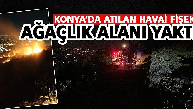 Konya'da atılan havai fişek ağaçlık alanı yaktı
