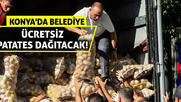 Konya'da Belediye Ücretsiz Patates Dağıtacak!