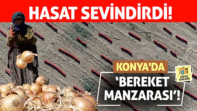 Konya'da 'Bereket Manzarası'! Hasat Sevindirdi!