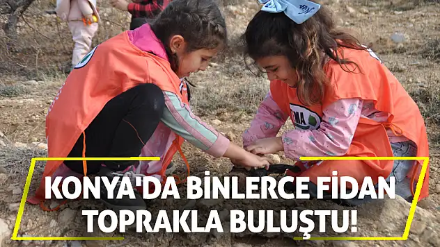 Konya'da binlerce fidan toprakla buluştu!