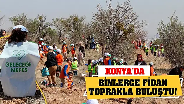 Konya'da Binlerce Fidan Toprakla Buluştu!