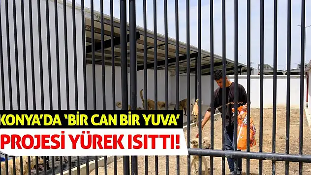Konya'da 'Bir Can Bir Yuva' Projesi Yürek Isıttı!