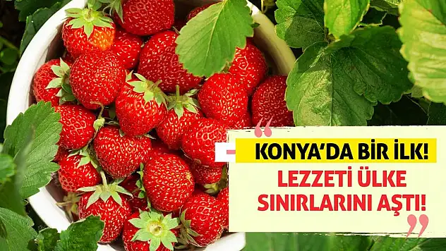 Konya'da Bir İlk! Lezzeti Ülke Sınırlarını Aştı!