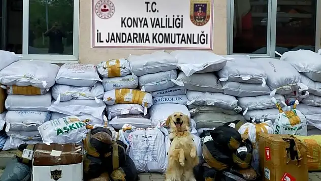 Konya'da bir tırda 1,9 ton kaçak tütün ele geçirildi