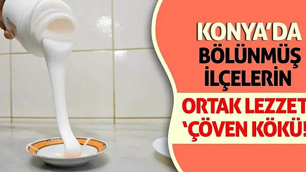 Konya'da Bölünmüş İlçelerin Ortak Lezzeti 'Çöven Kökü!'
