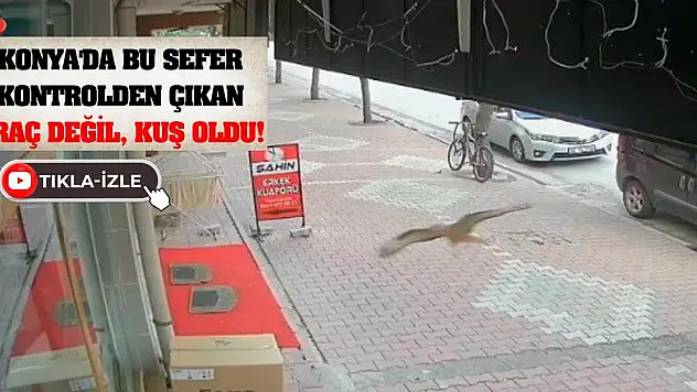 Konya'da bu sefer kontrolden çıkan araç değil, kuş oldu!