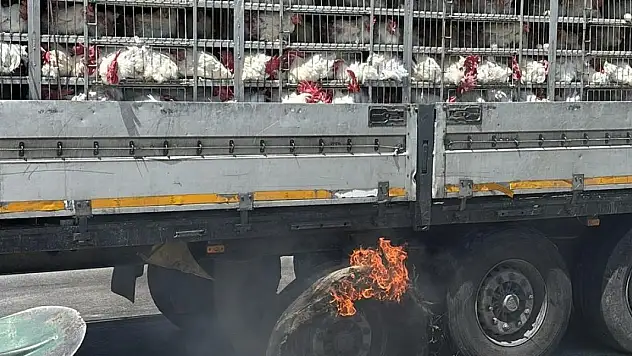 Konya'da canlı tavuk dolu tır alev aldı!