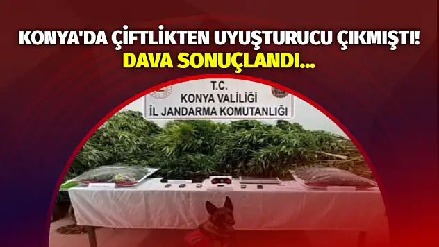Konya'da çiftlikten uyuşturucu çıkmıştı! Dava sonuçlandı...