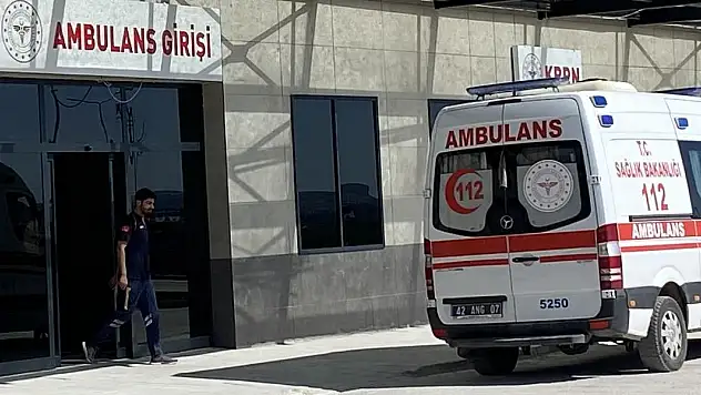 Konya'da dağlık alanda mantar toplarken hastanelik oldu