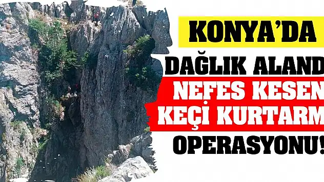 Konya'da dağlık alanda nefes kesen keçi kurtarma operasyonu