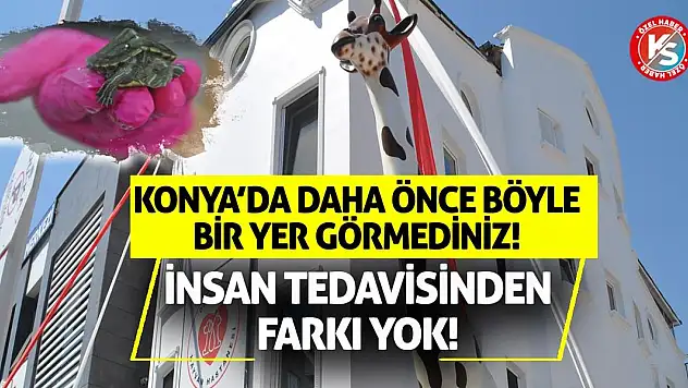 Konya'da Daha Önce Böyle Bir Yer Görmediniz! İnsan Tedavisinden Farkı Yok!