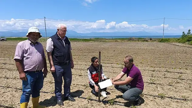 Konya'da domates güvesi ile mücadele başladı