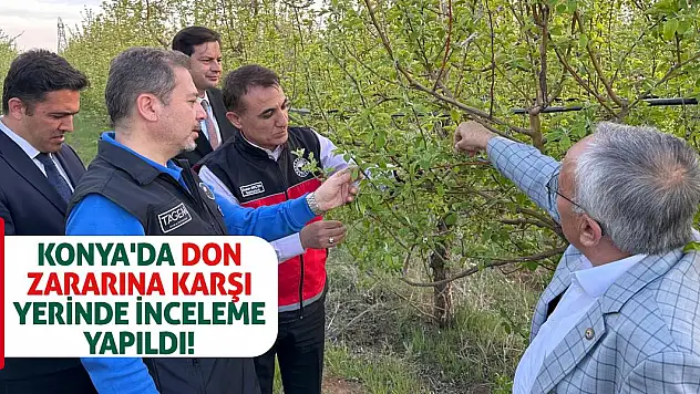 Konya'da don zararına karşı yerinde inceleme yapıldı!