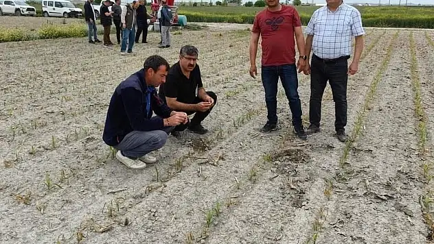 Konya'da ekili alanlarda incelemeler sürüyor