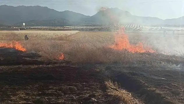Konya'da ekili arazide yangın