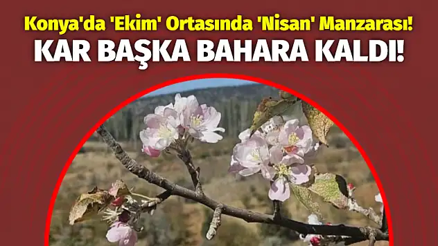 Konya'da 'Ekim' Ortasında 'Nisan' Manzarası! Kar Başka Bahara Kaldı!