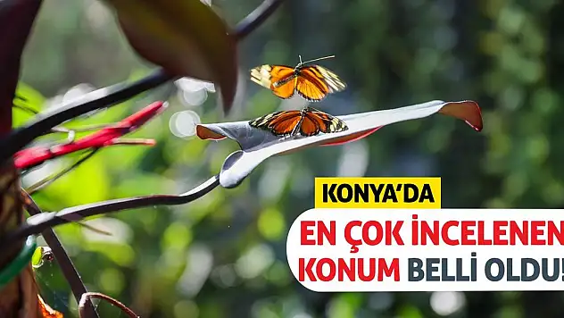 Konya'da En Çok İncelenen Konum Belli Oldu!