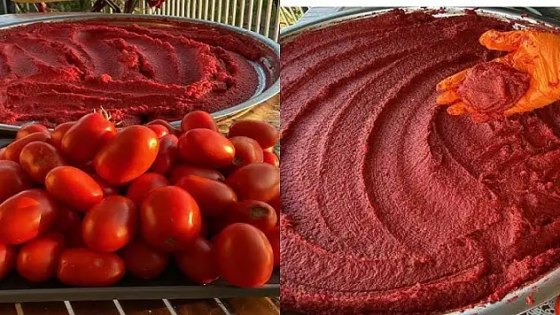 Konya'da ev hanımları salçayı böyle hazırlıyor ve salça asla küflenmiyor