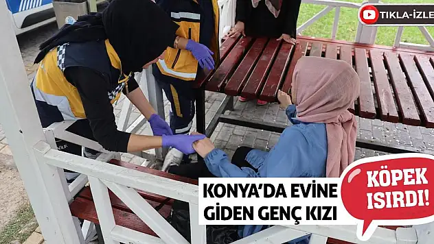 Konya'da Evine Giden Genç Kızı Köpek Isırdı!